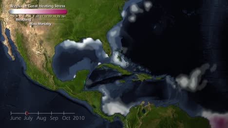 Eine-Animierte-Visualisierung-Der-Zerstörung-Von-Korallenriffen-Durch-Die-Globale-Erwärmung-In-Der-Karibik