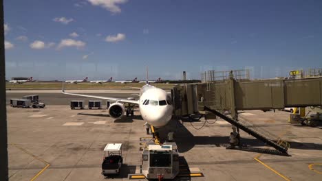 Hawaii-National-Guardsmen-Screen-Airline-Passengers-New-thermal-Imaging-Cameras-In-Response-To-Covid19-Hawaii