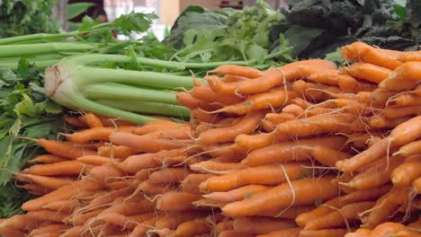 Fresh-organic-farm-produce-greens-and-vegetables-for-sale-at-the-weekly-Santa-Barbara-Farmers-Market-California-2