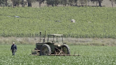 A-tractor-pickup-truck-farmer-bean-field-and-vineyard-in-the-rich-agricultural-landscape-of-the-Lompoc-Valley-California