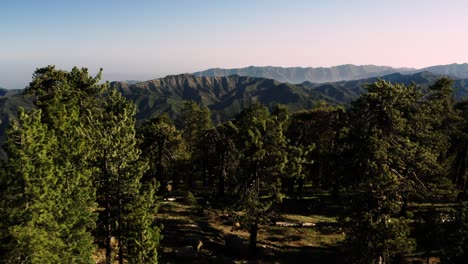 Beautiful-vista-aérea-over-the-Pine-Montaña-wilderness-and-trees-slated-to-be-logged-and-habitat-removed-2