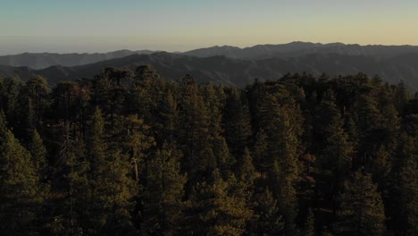 Beautiful-aerial-over-the-Pine-Mountain-wilderness-and-trees-slated-to-be-logged-and-habitat-removed-7