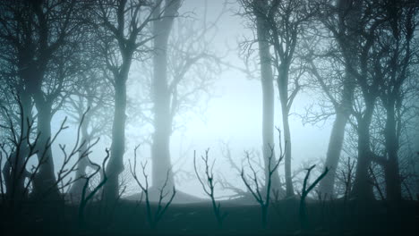 Mystischer-Horrorhintergrund-Mit-Dunkelblauem-Wald-und-Abstraktem-Nebelhintergrund