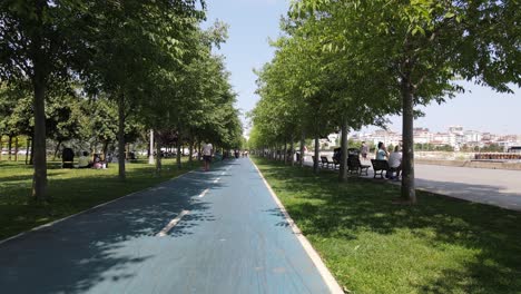 Bicycles-Road