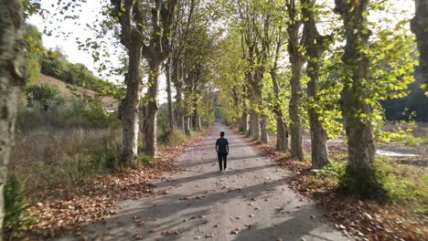Walking-Road-Herbst-Luftbild