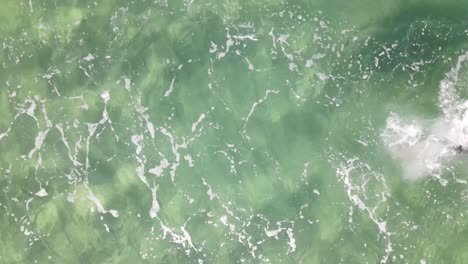 Schwimmen-Meer-Ozean-Luftaufnahme
