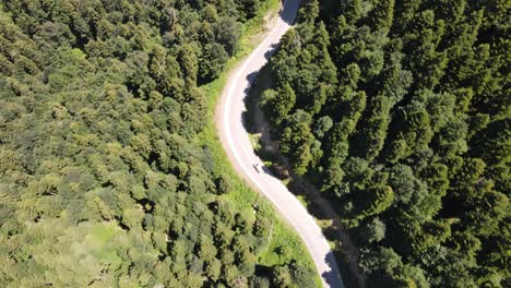 Traveling-Forest-Road-Aerial-View
