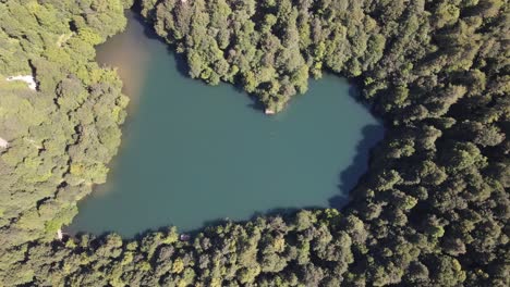 Estanque-Natural-Bosque-Verde-Drone-Aéreo
