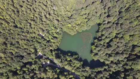 Drone-Aéreo-Lago-Natural-Bosque