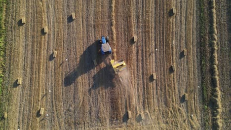 Tiempo-De-Cosecha-Agricultura-Drone-Aéreo