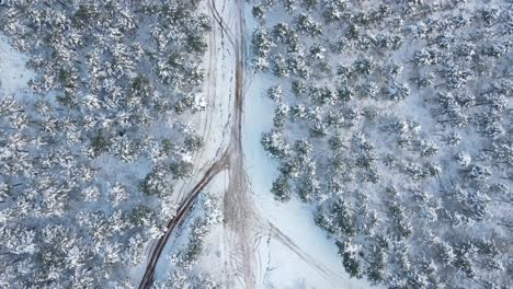 Vista-Aérea-De-La-Carretera-De-Invierno-De-árboles-Congelados