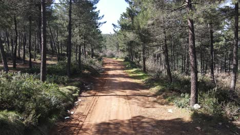 Vista-Aerea-Camino-Forestal