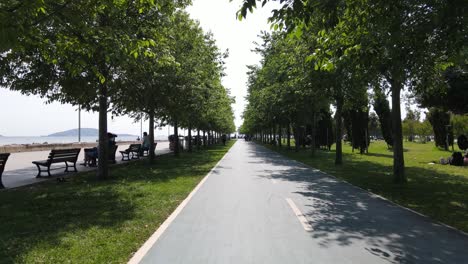 Walking-Road-In-Park