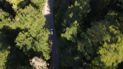 Car-Going-Slowly-Between-Nature-Aerial-View