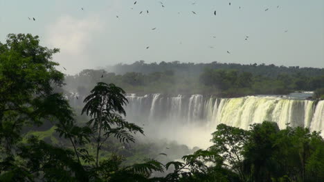 Iguazu-Fällt-Argentinien-Vögel-Fliegen-über-Den-Wasserfällen