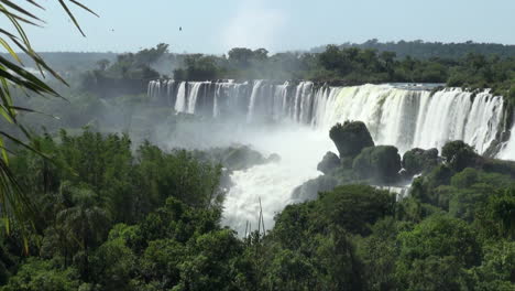 Iguazu-Fällt-Argentinien-Palmwedel-Fransen-Aussicht