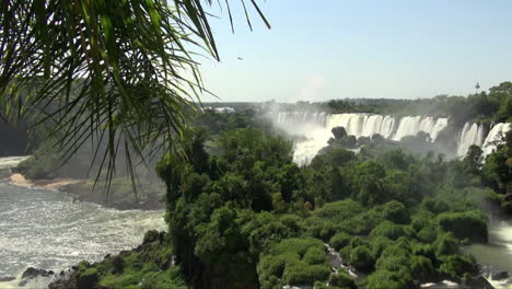 Iguazu-Fällt-Argentinien-Palmwedel-über-Sicht
