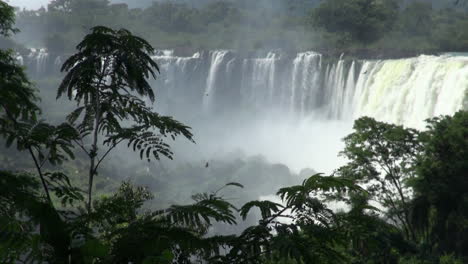 Cataratas-Del-Iguazú-Argentina-Silueta-De-árbol