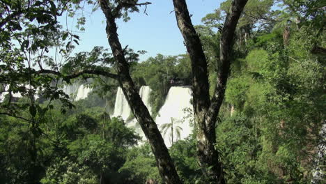 Iguazu-Fällt-Argentinien-Ansicht-Von-Palme-Durch-Zweige