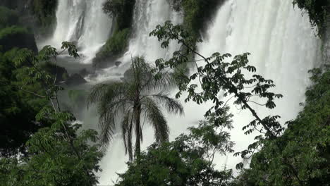 Iguazu-Falls-Argentina-with-palm-tree