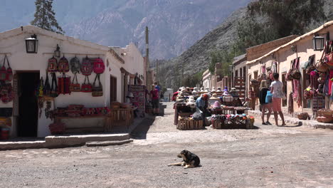 Argentina-Purmamarca-dog-lies-in-street
