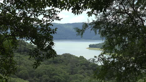 Argentinien-See-Durch-Baumblätter