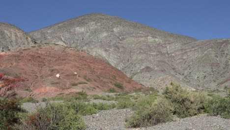 Argentinien-Roter-Hügel-Und-Sträucher-Pan