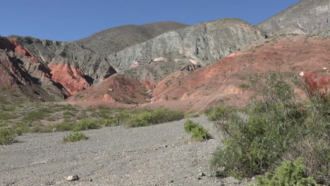 Argentina-shrub-and-red-rock-landscape-pan