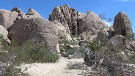 Joshua-Tree-Nationalpark-Kalifornien-Durcheinander-Felsen