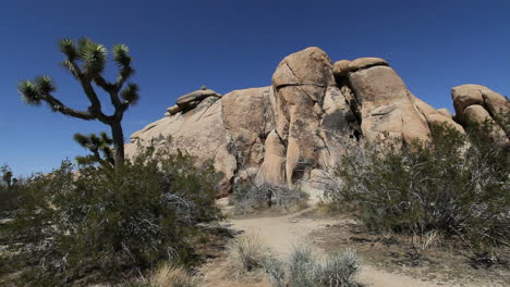 Parque-Nacional-Joshua-Tree,-California,-Vista,-Con,-Rocas