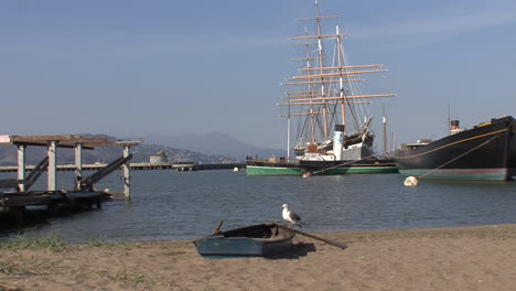 San-Francisco-Kalifornien-Möwe-Auf-Ruderboot