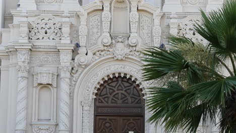 San-Francisco-Kalifornien-Palme-Und-Mission-Dolores-Basilika-Tür