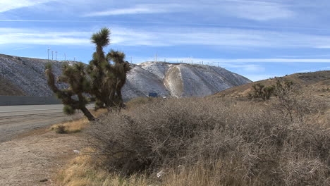 California-Highway-Und-Joshua-Trees