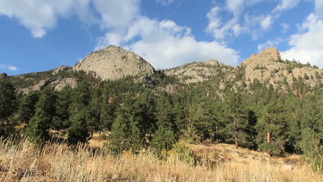 Colorado-Rocky-Mountain-Nationalpark-Mit-Bäumen