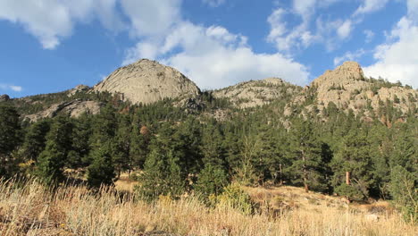 Colorado-Rocky-Mountain-National-Park-with-trees