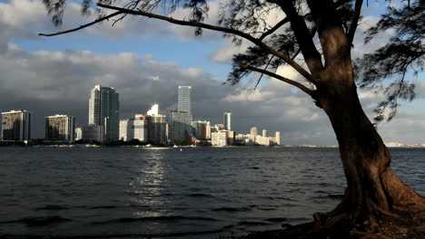 Florida-Miami-Skyline-Reflejo-De-La-Luz-Sobre-El-Agua