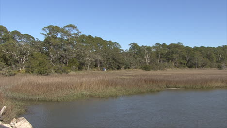 Laguna-De-Florida-Por-Un-Pantano-Con-Bosques-Más-Allá