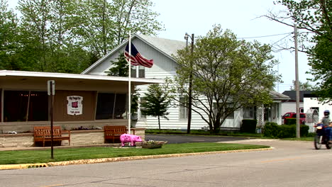 Oficina-De-Correos-De-Illinois-Moweaqua-Con-Cerdo-Rosa