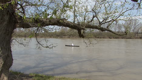 Illinois-Mann-Im-Boot-Umrahmt-Von-Baum