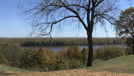 Iowa-Walnussbaum-Und-Mississippi