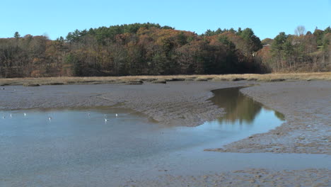 Maine-Gezeitenstrom-Und-Wattenmeer-Bei-Wiscasset