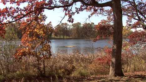Michigansee-Im-Herbst