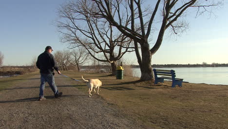 Michigan-man-walks-dog-by-lake