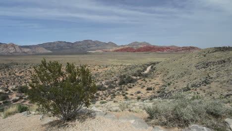 Cañón-De-Roca-Roja-Nevada-Enmarcado-Con-Cresote-Bush
