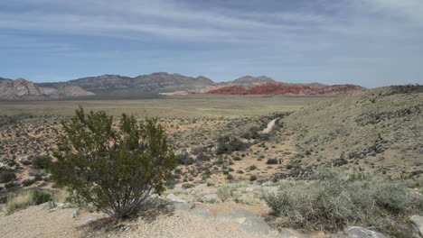 Red-Rock-Canyon-Nevada-Umrahmt-Mit-Kresotbusch