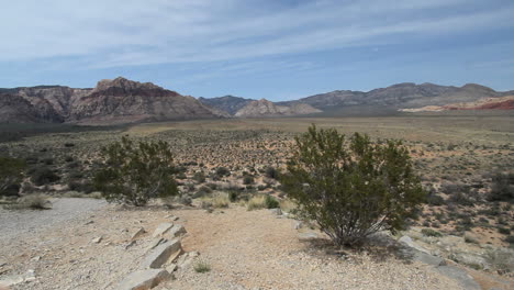 Cañón-De-Roca-Roja-Nevada-Con-Arbusto-De-Creosota
