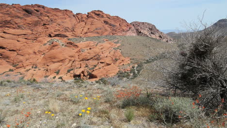 Rote-Felsenschlucht-Nevada