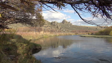 Nevada-Zweig-über-Dem-Owyhee-Fluss