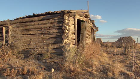 Nevada-ruined-log-cabin