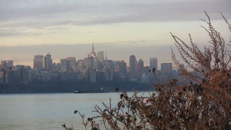 New-York-Manhatten-with-weeds